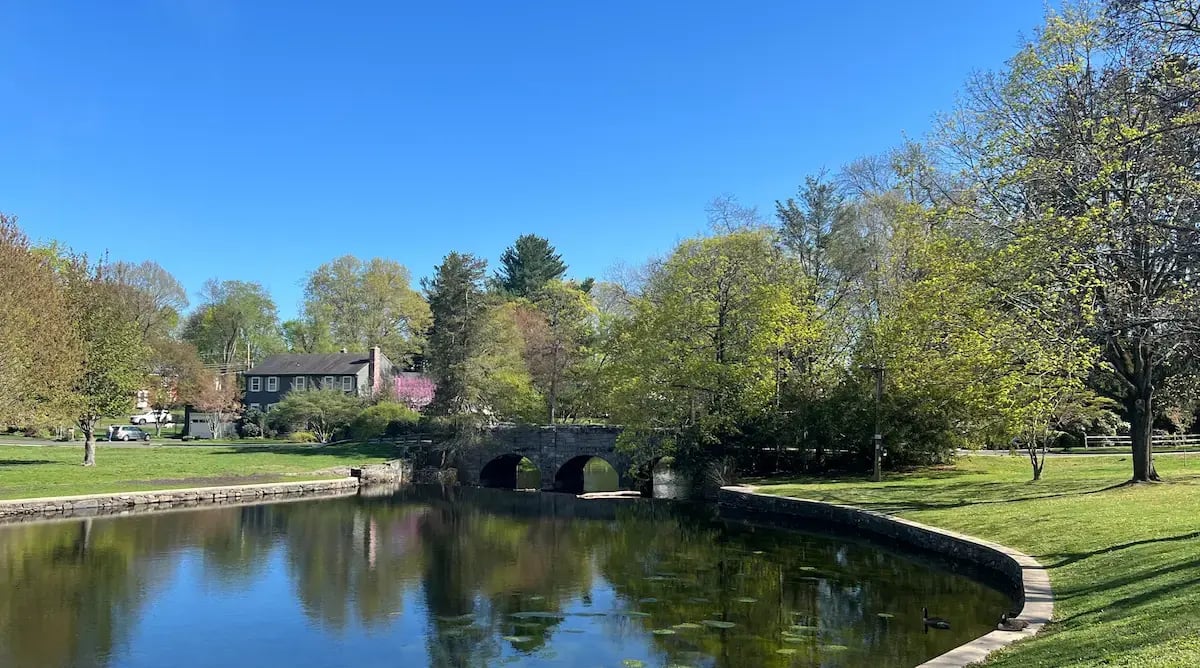 Inner Circle - Milford Duck Pond