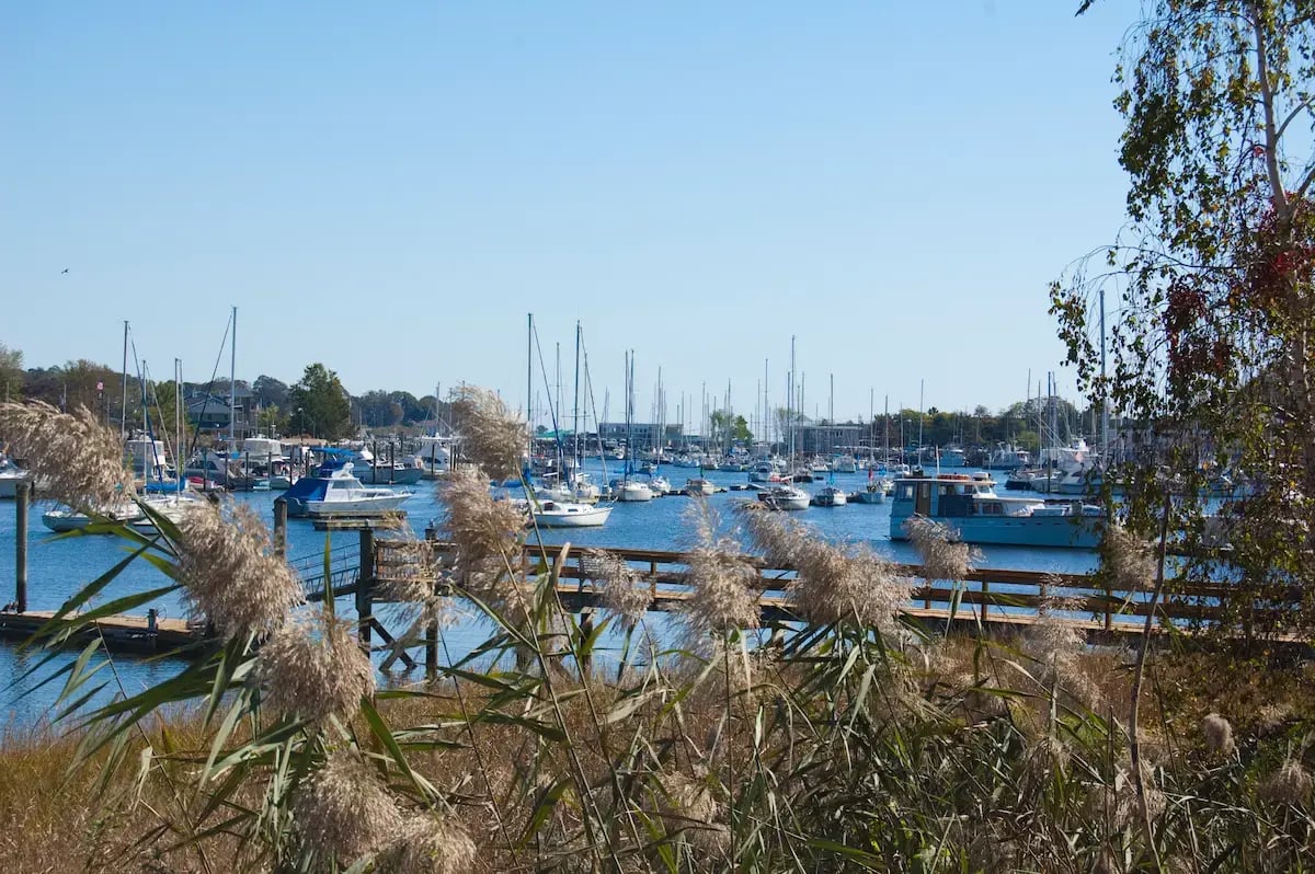 Milford_Harbor