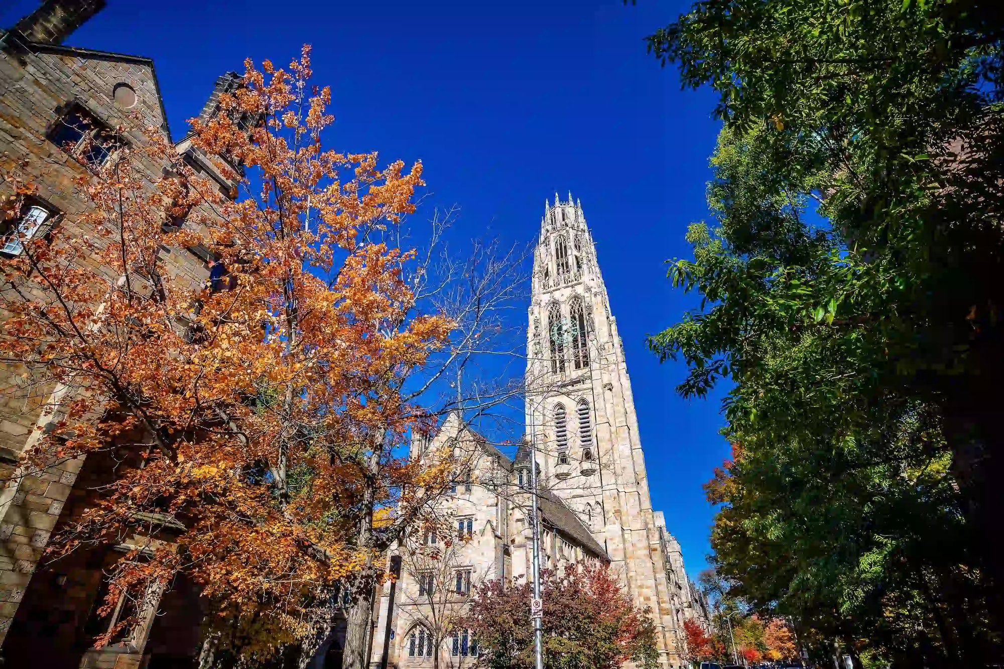 New Haven_church