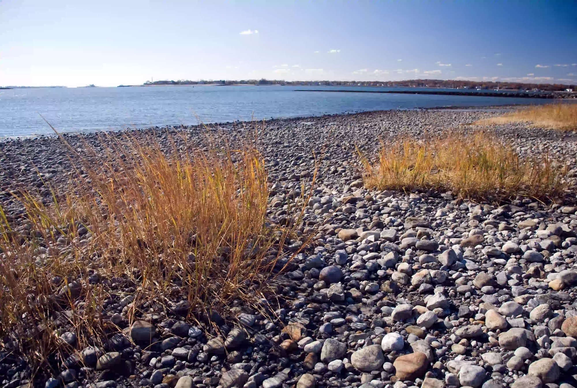 Westport_comp beach