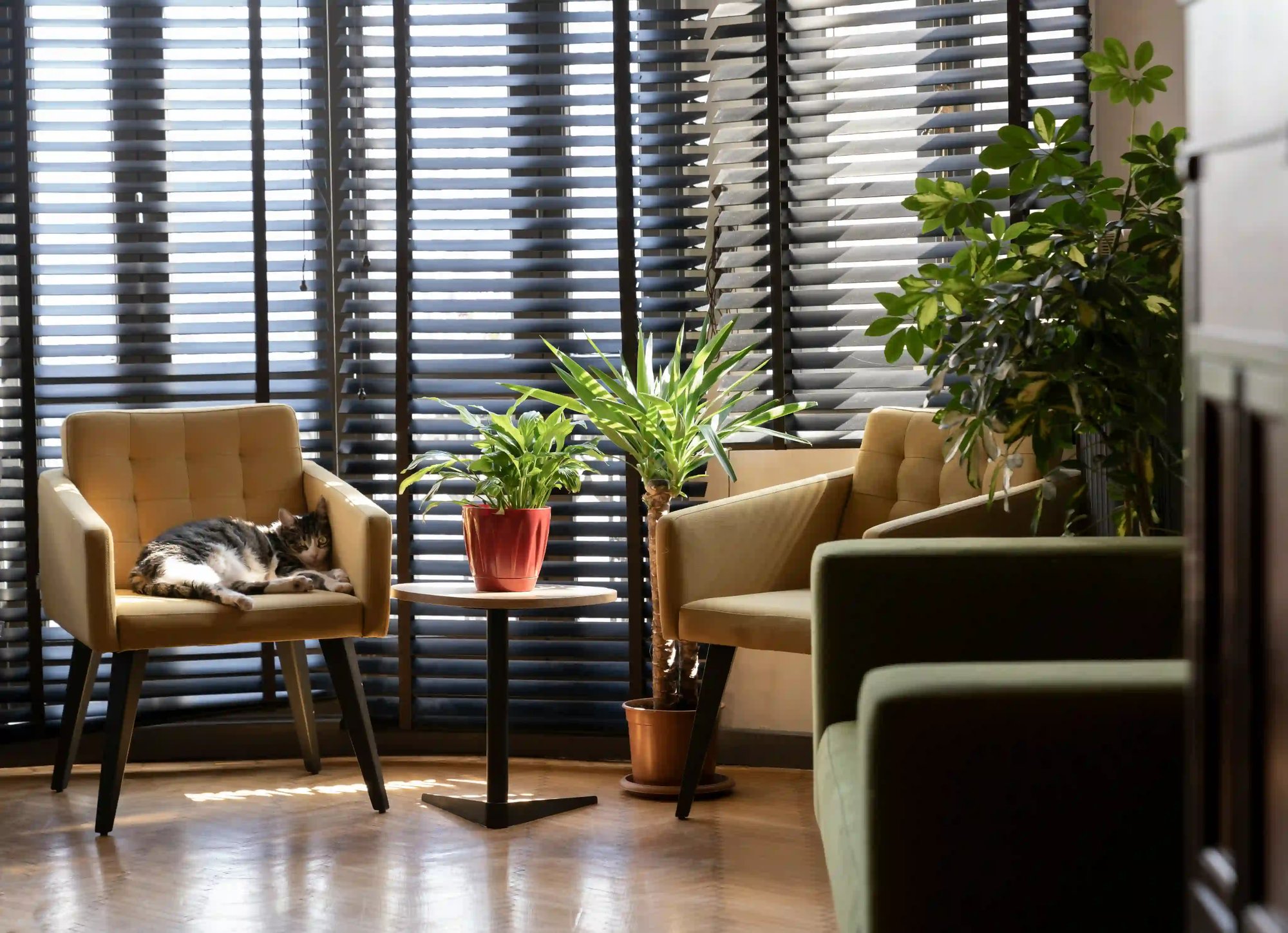 dbbcec70639280746119935a51661052a2d97e78